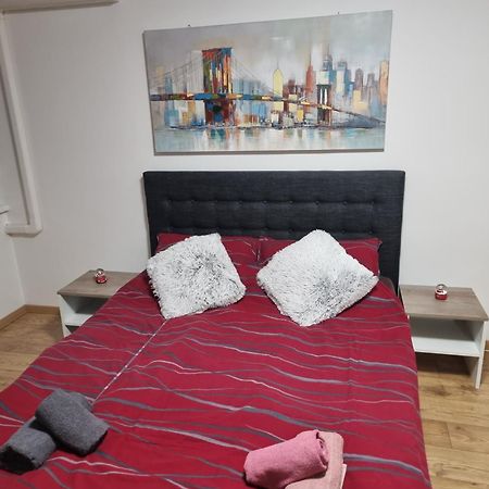 Studio Apartman Bojana 34M2,Free Wifi,Parking Sisak Eksteriør bilde