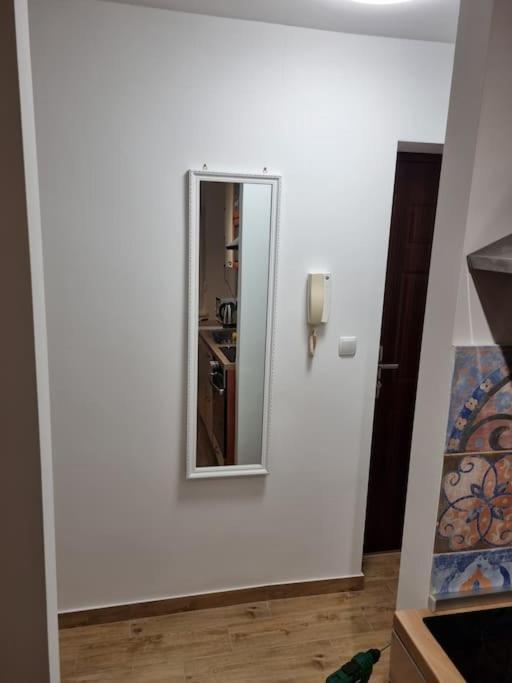 Studio Apartman Bojana 34M2,Free Wifi,Parking Sisak Eksteriør bilde