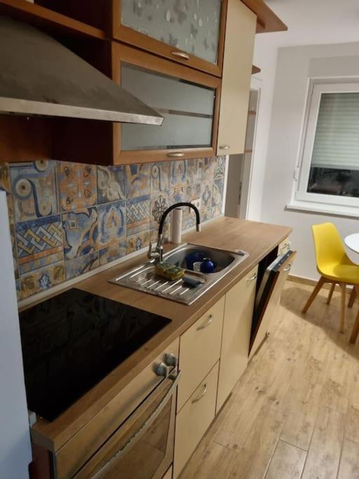Studio Apartman Bojana 34M2,Free Wifi,Parking Sisak Eksteriør bilde