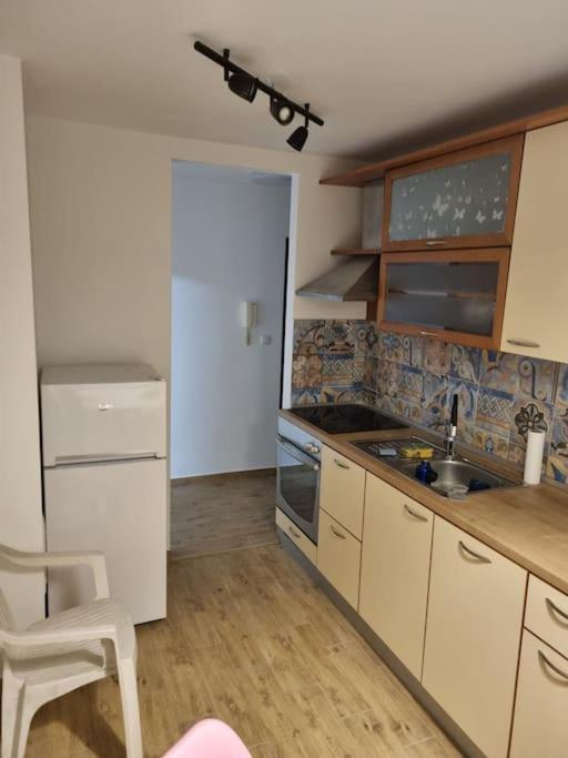 Studio Apartman Bojana 34M2,Free Wifi,Parking Sisak Eksteriør bilde