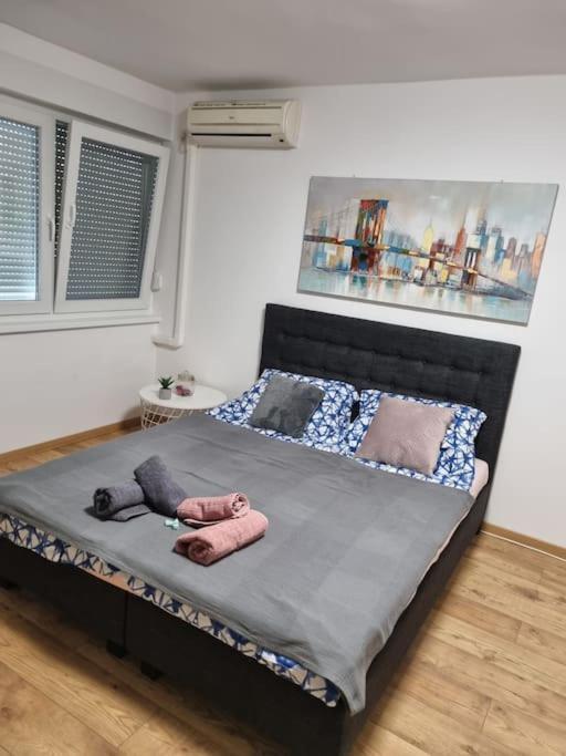 Studio Apartman Bojana 34M2,Free Wifi,Parking Sisak Eksteriør bilde