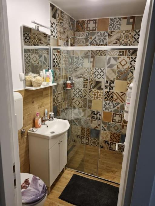 Studio Apartman Bojana 34M2,Free Wifi,Parking Sisak Eksteriør bilde