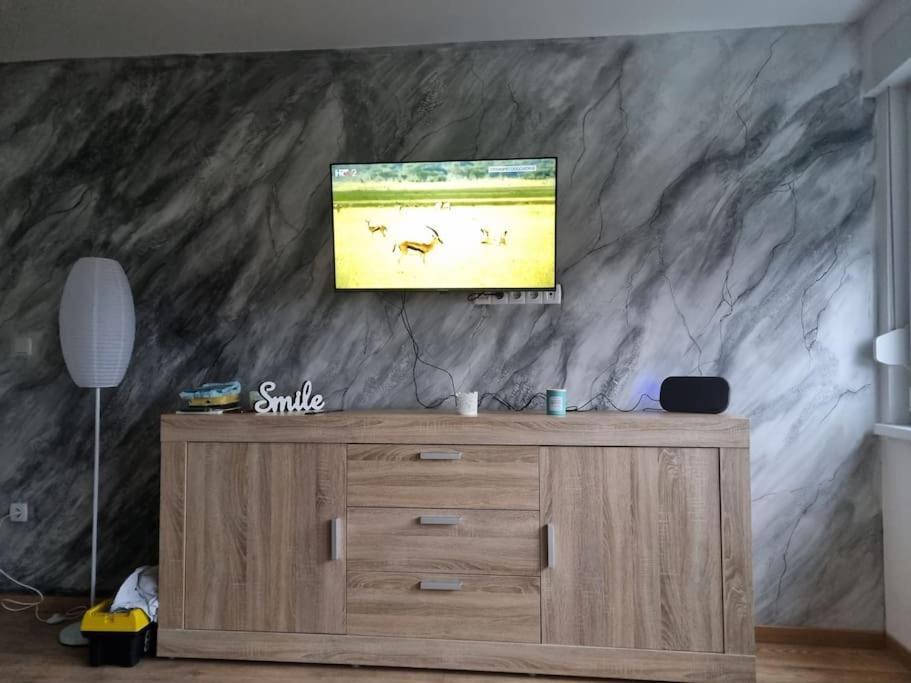 Studio Apartman Bojana 34M2,Free Wifi,Parking Sisak Eksteriør bilde
