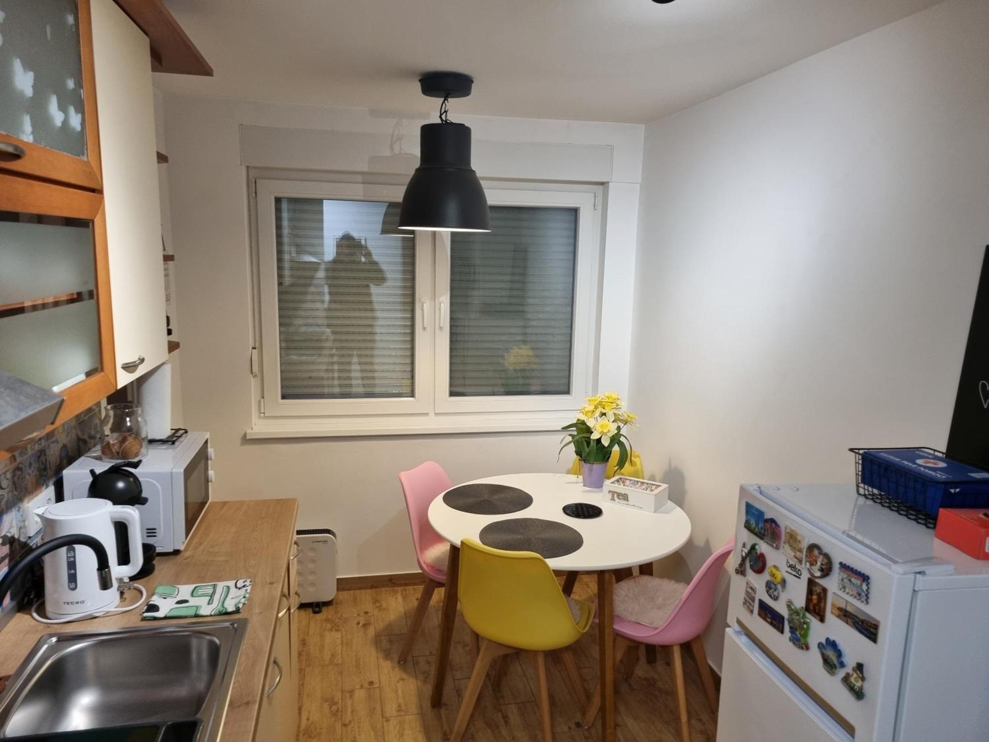 Studio Apartman Bojana 34M2,Free Wifi,Parking Sisak Eksteriør bilde